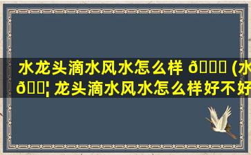 水龙头滴水风水怎么样 🐈 (水 🐦 龙头滴水风水怎么样好不好)